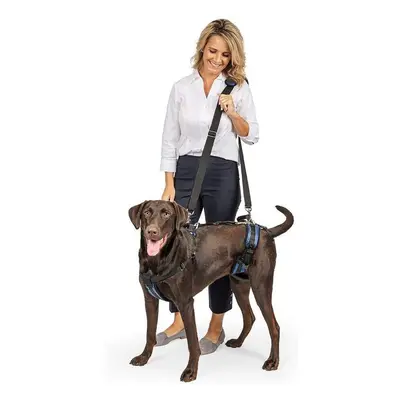 PetSafe CareLift Support Harness - Full-Body Lifting Aid with Handle - Great for Pet Mobility an