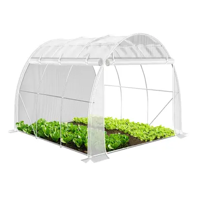 VOUNOT Polytunnel Greenhouse Gardening Walk In Grow House with Roll-up Side Walls, 3x2x2m 6mÂ², 