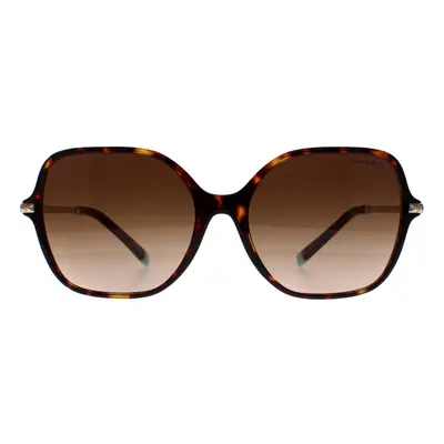 Tiffany Sunglasses TF4191 80153B Havana Brown Gradient