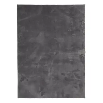 (anthracite, x cm) vidaXL Rug Short Pile Soft and Washable Floor Mat Area Rug Bedroom Carpet