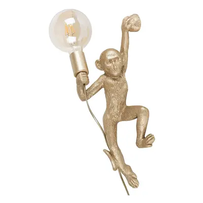 Modern Gold Monkey Holding Light Bulb Design Wall Light - Complete with a 6w LED Filament Globe 