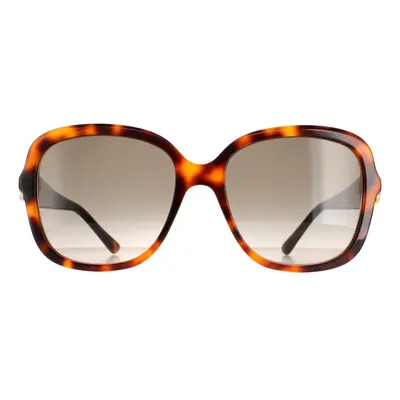 Jimmy Choo Sunglasses SADIE/S HA Havana Brown Gradient