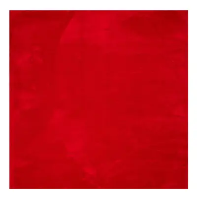 (red, x cm) vidaXL Rug Short Pile Soft and Washable Floor Mat Area Rug Bedroom Carpet