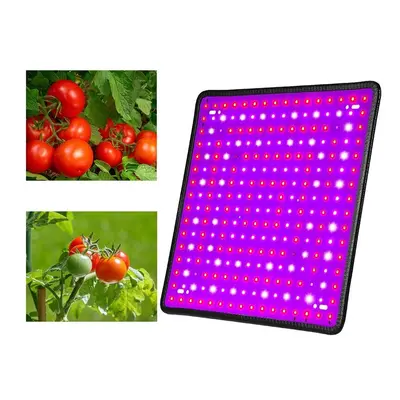 (US Plug) 5000W LED Full Spectrum Plant UV Grow Light Veg Growing Lamp Indoor Hydroponic