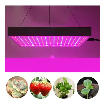 (EU Plug) AC85-265V 60W LED Grow Light Growing Lamp For Veg Flower Indoor Plant