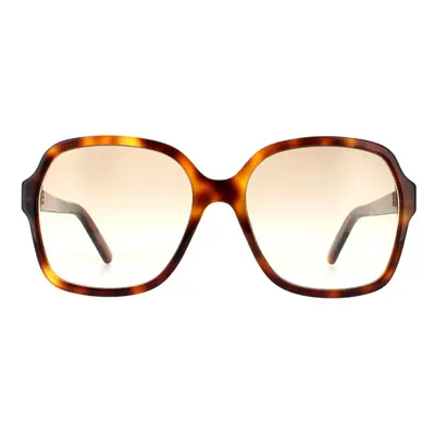 Marc Jacobs Sunglasses MARC 526/S HA Havana Brown Gradient