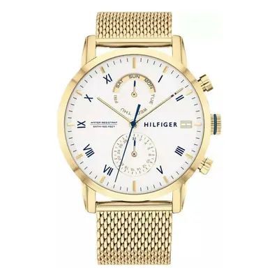 Men's Watch Tommy Hilfiger (? mm)