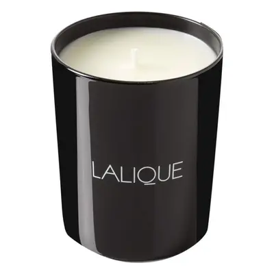 Lalique Candle 190g - Peuplier Aspen