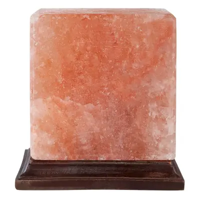 Premier Housewares Bowl Salt Lamp with EU Plug Himalayan Rock Salt Lamp Bedroom Lamp Wooden Base