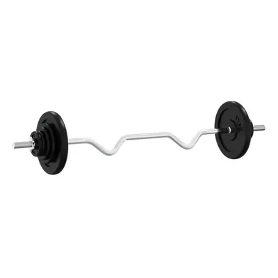 (90 kg, 1) vidaXL Barbell with Plates Set kg Cast Iron & Chrome Plated Steel Barbell