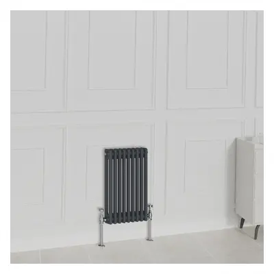 (600x425mm-2 Column, Anthracite) NRG Traditional Radiator Horizontal Vertical Cast Iron Style Do