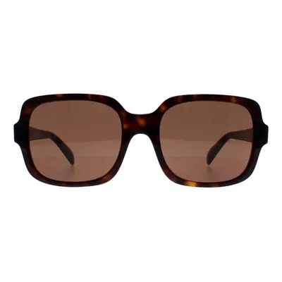 Emporio Armani Sunglasses EA4195 Shiny Havana Dark Brown