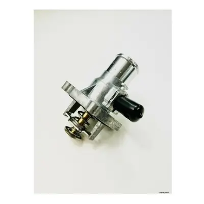 Thermostat for CHEVROLET AVEO / KALOS ( T250 , T255 ) 1.4L + CTM/PL/002A