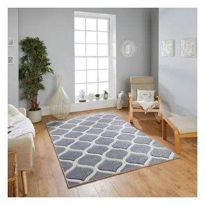 (13. 1 Trellis - Grey, x cm) Modern Geometric Floral Abstract Area Rugs Check Multi Coloured Non