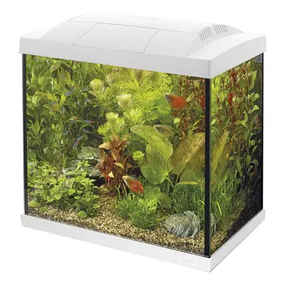 (50 White) Superfish Start Tropical Aquarium Kit 50 100 Black White LED Fish Tank