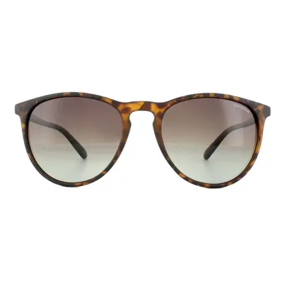 Polaroid Sunglasses PLD 6003/N/S V08 LA Havana Brown Gradient Polarized