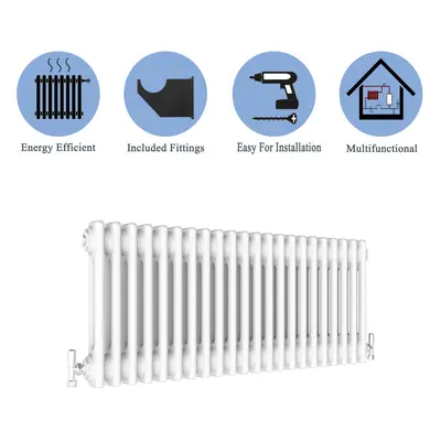 (White, 300*1010mm) Cast Iron Style Radiators