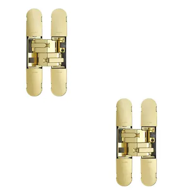 2x x 24mm Concealed Medium Duty Hinge Fits Unrebated Doors Brass Plated