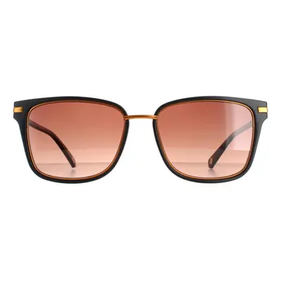 Ted Baker Sunglasses TB1620 Mata Black Brown Gradient