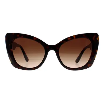 Dolce & Gabbana Sunglasses DG4405 502/13 Havana Brown Gradient