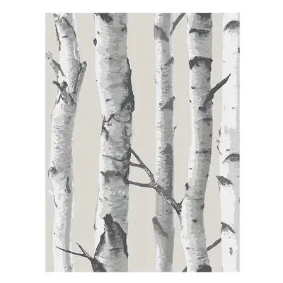 NuWallpaper Birch Tree Peel And Stick Wallpaper Grey Fine Decor NU1650