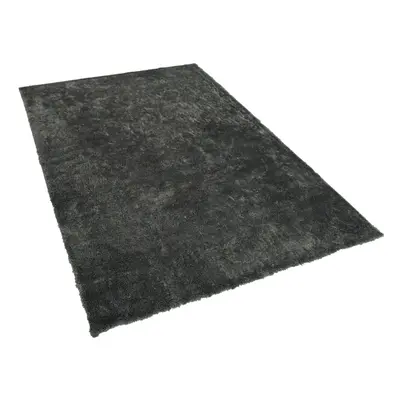 Shaggy Area Rug x cm Dark Grey EVREN