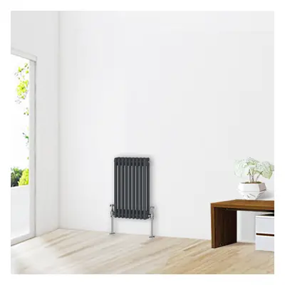 (600 x 425mm-2 Column) NRG Traditional Anthracite Cast Iron Style Radiator