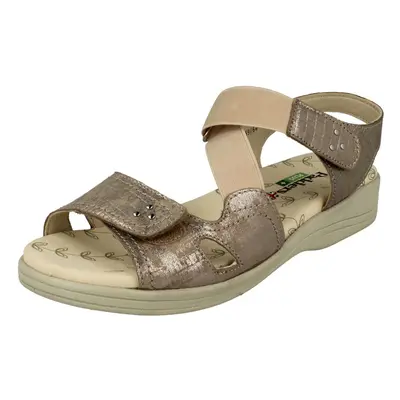 (UK 4, Metallic Reptile (Gold)) Ladies Padders Hook & Loop Fastening Sandals Cruise - 3E/4E Fit