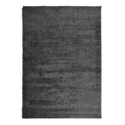 (anthracite, x cm) vidaXL Shaggy Rug Floor Mat Fluffy Rug Area Rug PAMPLONA High Pile Modern