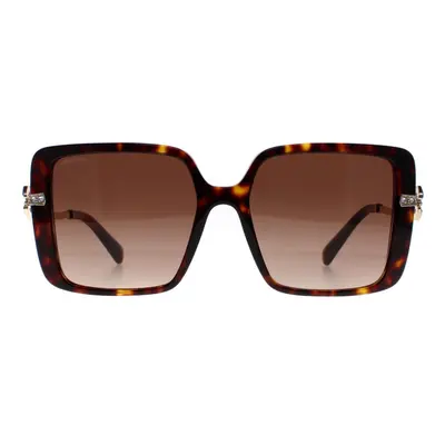 Bvlgari Sunglasses BV8243B 504/13 Havana Brown Gradient