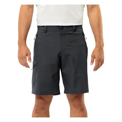 (S, Phantom) Jack Wolfskin Mens Active Track Lightweight Stretch Hiking Shorts