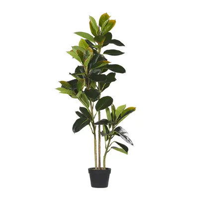 Artificial Plant FICUS ELASTICA cm Green