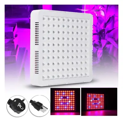 (US Plug) 300W LED Grow Light Hydroponic Full Spectrum For Veg Flower Indoor Plant Seeds