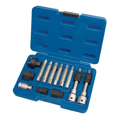 Alternator Pulley Tool Kit (13 Piece)