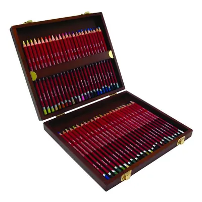 Derwent Pastel Pencils, Set of in Wooden Gift Box, Professional Quality