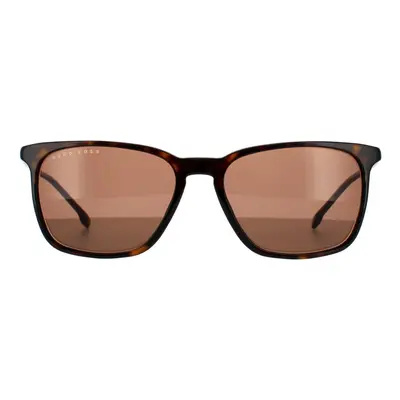 Hugo Boss Sunglasses BOSS 1183/S/IT 70 Havana Brown