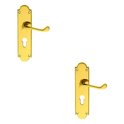 2x PAIR Victorian Scroll Lever on Euro Lock Backplate x 49mm Polished Brass