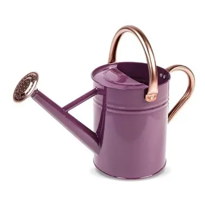 Gardman R34881X gal Watering Can, Violet & Copper