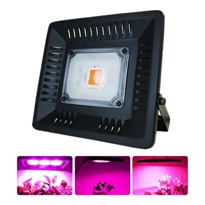 (50W, EU Plug) Full Spectrum 30W 50W COB LED Grow Light Waterproof Phyto Lamp for Indoor Plant V