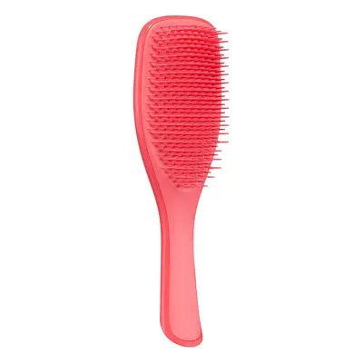 Tangle Teezer The Ultimate Detangling Brush, Dry and Wet Hair Brush Detangler for All Hair Types