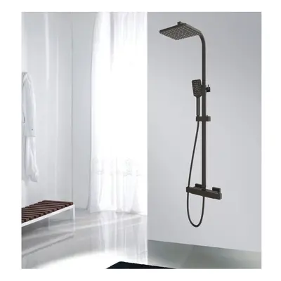 (220x220mm) AICA Thermostatic Shower Mixer Matte Black Square Set