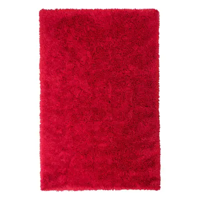 Shaggy Area Rug x cm Red CIDE