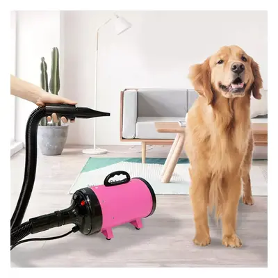 (Pink) Pet Blowing Machine 2200W Low Noise Wam Wind Household Cat & Dog Fast Hair Dryer