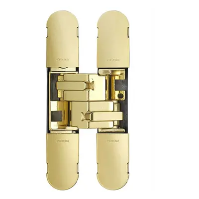 160 x 32mm Concealed Heavy Duty Hinge Fits Unrebated Doors Brass Plated