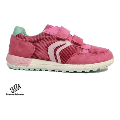 (6 (Adults')) Alben | Fuchsia/Watersea | Girls Trainers