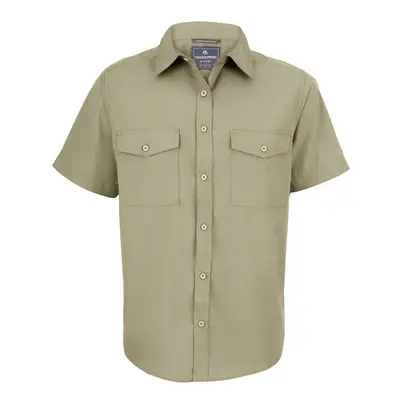 (XL, Pebble Brown) Craghoppers Mens Expert Kiwi Short-Sleeved Shirt