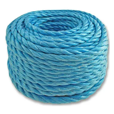 30m 12mm Blue Poly Rope Winch Pulley Lash Line Boat Camping Marine Tarpaulin