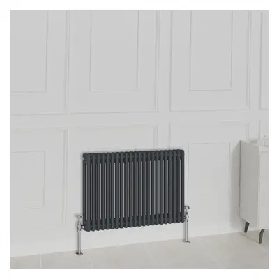 (600x1010mm-2 Column, Anthracite) NRG Traditional Radiator Horizontal Vertical Cast Iron Style D