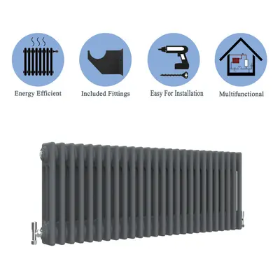 (Anthracite , 300*1190mm) Cast Iron Style Radiators