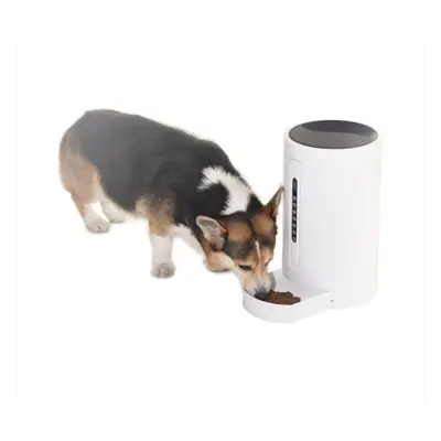 Pet Smart Voice Control Training Feeding Feeder Food Dispenser